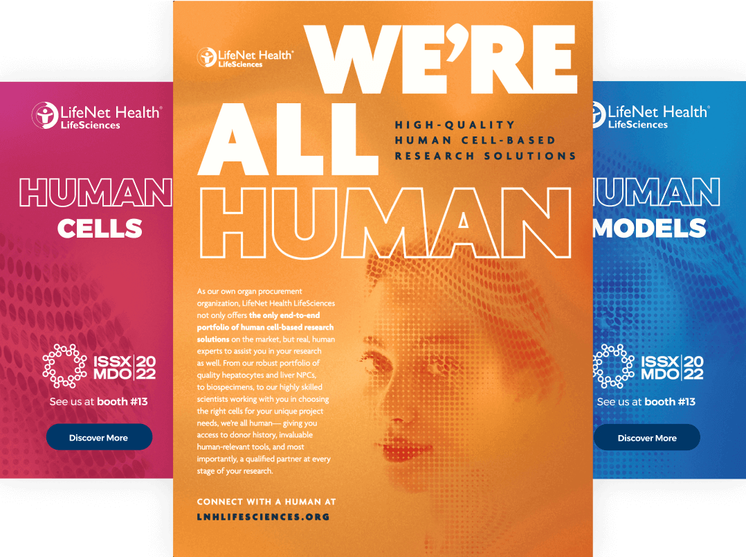 Sway - Media Capabilities, display units